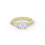 The Forever Solitaire